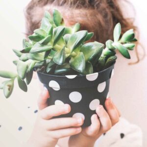 Flowerpower Workshop Kinder TONAS Kreativraum